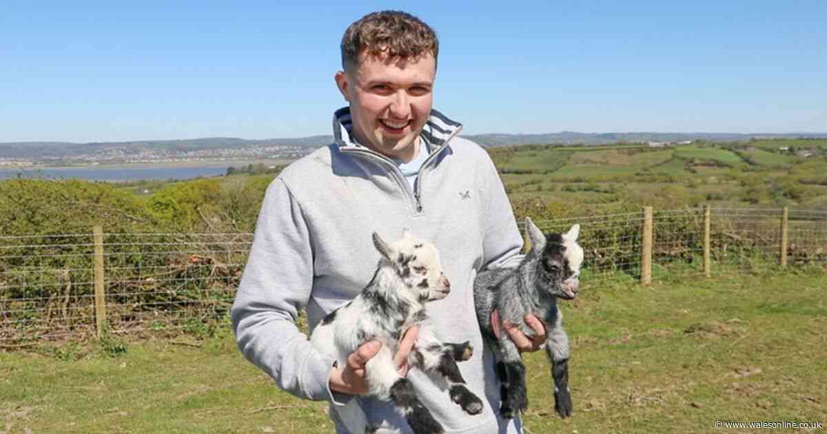 AD FEATURE: 'Gower College Swansea helped me turn my passion into a business'
