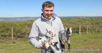 AD FEATURE: 'Gower College Swansea helped me turn my passion into a business'