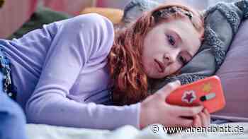 Polizei Hamburg: So schützen Eltern Kinder vor Internet-Sadisten wie „White Tiger“