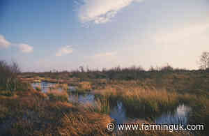 Farmers offered £47m to protect England’s peatlands