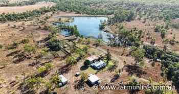 Reliable calf factory for 1000 breeders and replacement heifers | Video