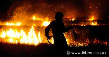 Three Firefighters Die in Colorado-Utah Wildfires as Utah Slashes July 4 Fireworks for Safety
