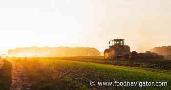Nestlé accelerates shift to regenerative agriculture