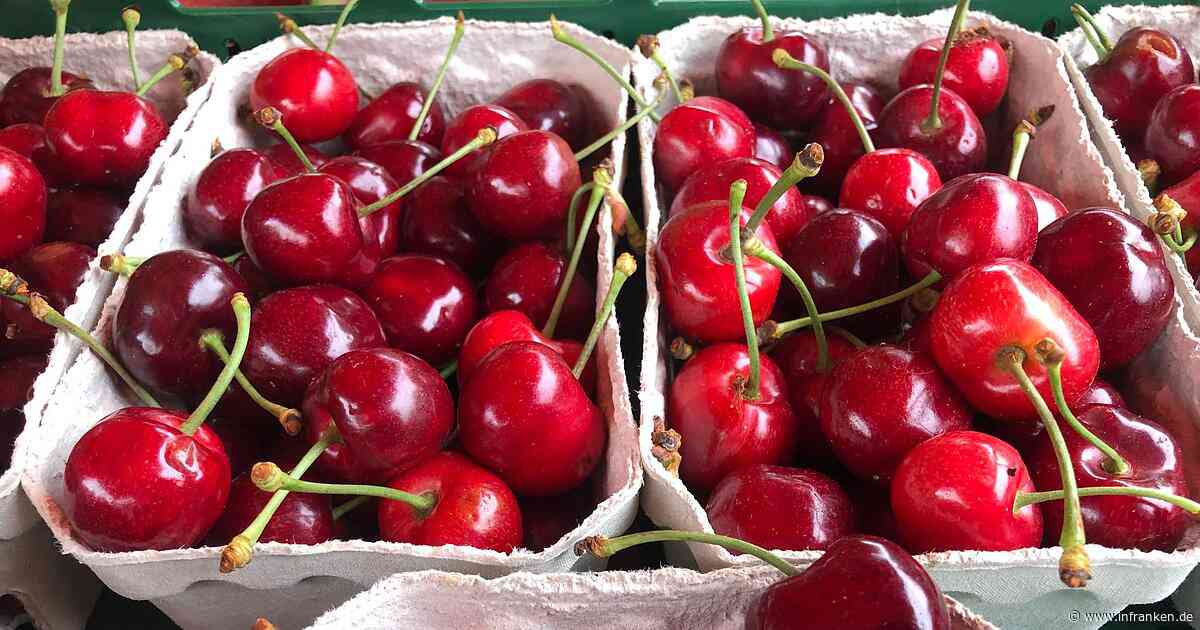 Deutsche Obstbauern erwarten beste Kirschenernte seit Jahren