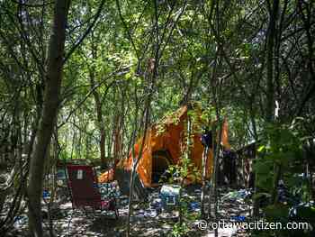 Ottawa councillors call for more data, supports for unsheltered encampments