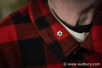 Some Indigenous people wary of Order of Canada's "colonial symbolism": federal study