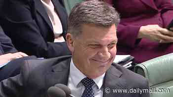 How Albo made Angus Taylor crack up laughing by mocking a push to rebrand the Liberal Party