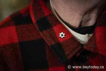 Some Indigenous people wary of Order of Canada's "colonial symbolism": federal study