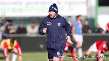 Scarlets announce new coach as highly-rated New Zealander joins from Leinster