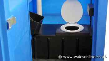 Body of new born baby dumped in portable toilet at music festival