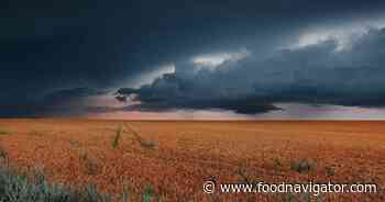 Big Food falling short on regen ag commitments