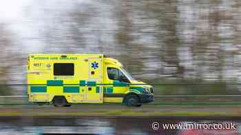 Teen girl fighting life-threatening injuries after horror motorway crash