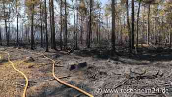 Massiver Wald- und Moorbrand direkt an A8: Feuerwehr spricht von „regelrechtem Inferno“