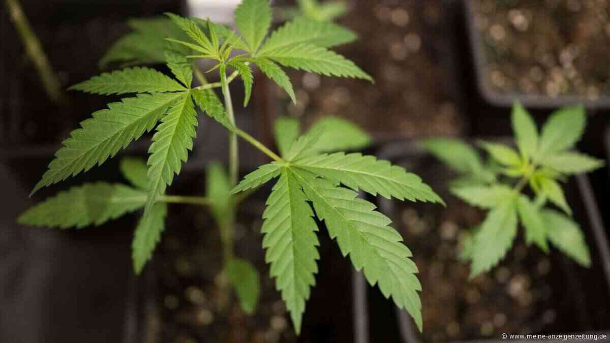21-Jähriger kippt mit Auto um – und muss wegen THC in Haft
