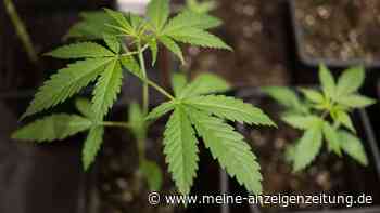 21-Jähriger kippt mit Auto um – und muss wegen THC in Haft