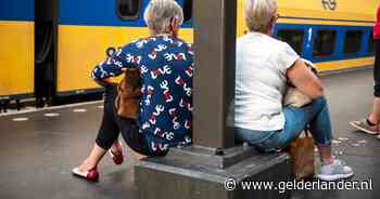Treinreizigers opgelet: maandag en dinsdag minder treinen van en naar Arnhem