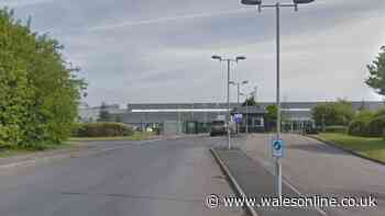 One hundred jobs to be created by new factories in Swansea and Tredegar