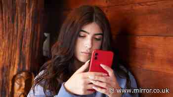 'Safe offline spaces for kids' plan ahead of social media ban