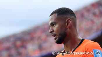 Cody Gakpo to play on at World Cup as Virgil van Dijk supports Liverpool team-mate