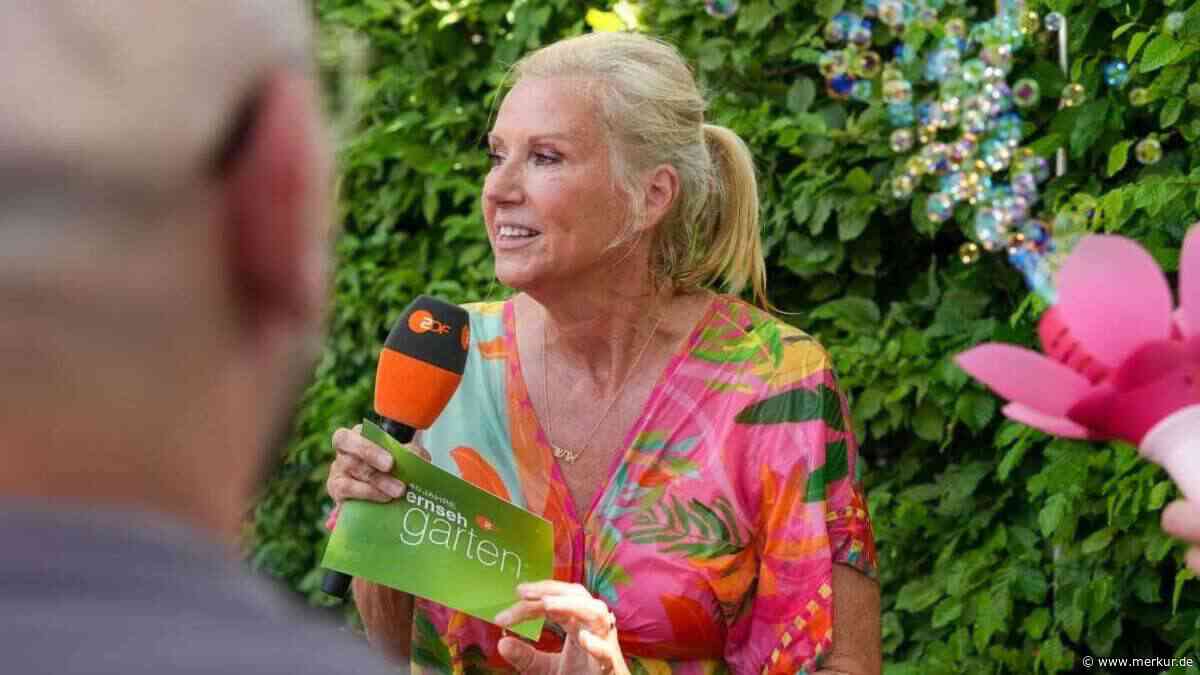Viraler Bier-Exzess hat Folgen: „ZDF-Fernsehgarten“ zieht die Reißleine