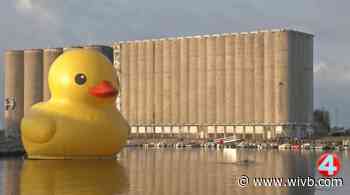 World's largest rubber duck returning to Canalside