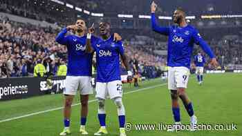 Everton squad review - keep, sell, loan, return or buy