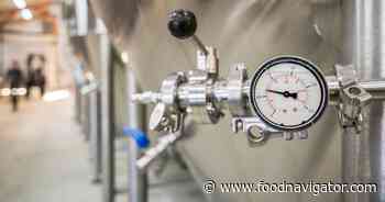 Are investors still interested in precision fermentation?