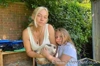 Southampton family heartbroken as court orders removal of beloved pet rabbit from garden