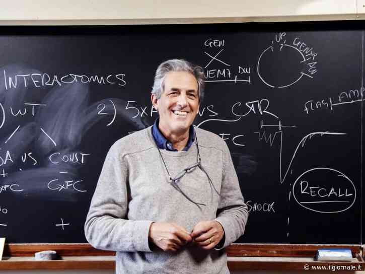 Medicina, addio ad Antonino Cattaneo, pioniere della ricerca sull'Alzheimer