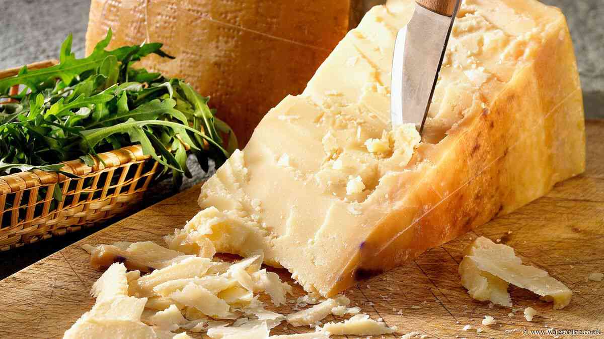 What is the difference between Parmesan and Pecorino cheese – and what to use them for