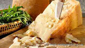 What is the difference between Parmesan and Pecorino cheese – and what to use them for