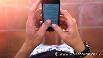 Warning over using WhatsApp for professional communication