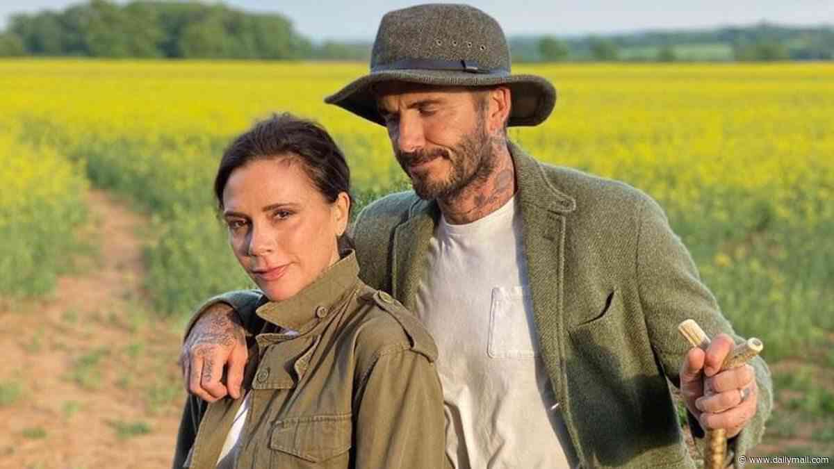 David and Victoria Beckham risk the wrath of their Cotswold neighbours as they submit 44th planning application in 10 years after being accused of 'bringing suburbia to the countryside'