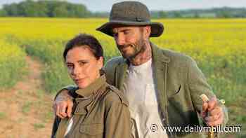 David and Victoria Beckham risk the wrath of their Cotswold neighbours as they submit 44th planning application in 10 years after being accused of 'bringing suburbia to the countryside'