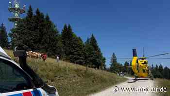 Kletterwald: Fingeramputation bei schwerem Unfall