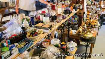 'I visited four charity shops in one day – now I'm worried about their future'