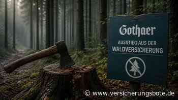 Gothaer steigt aus Waldversicherung aus