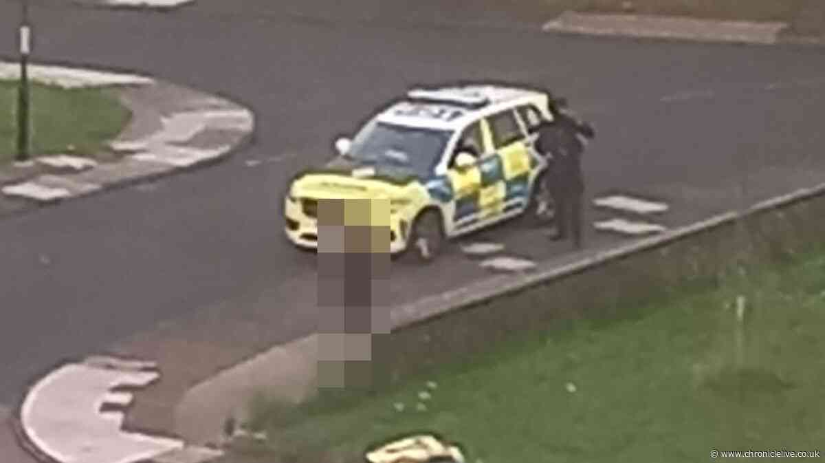 Police recover toy gun after armed officers called to reports of man with weapon in Newcastle
