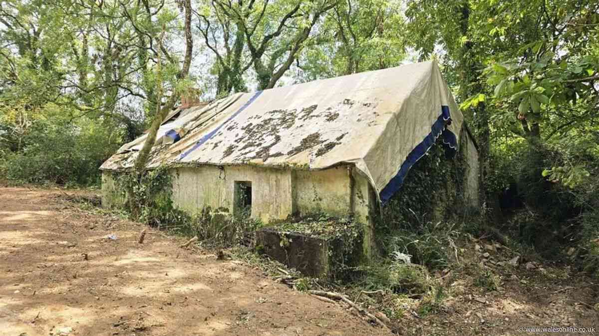This could be your dream home, no seriously