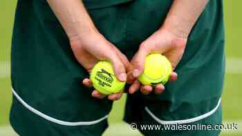 How much do Wimbledon ball boys and girls get paid in 2026?