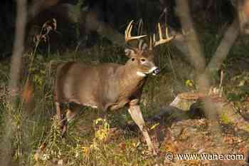 Indiana reserved hunt applications open July 6