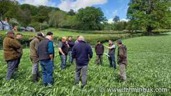 Welsh farming groups offered £12,000 for on-farm trials