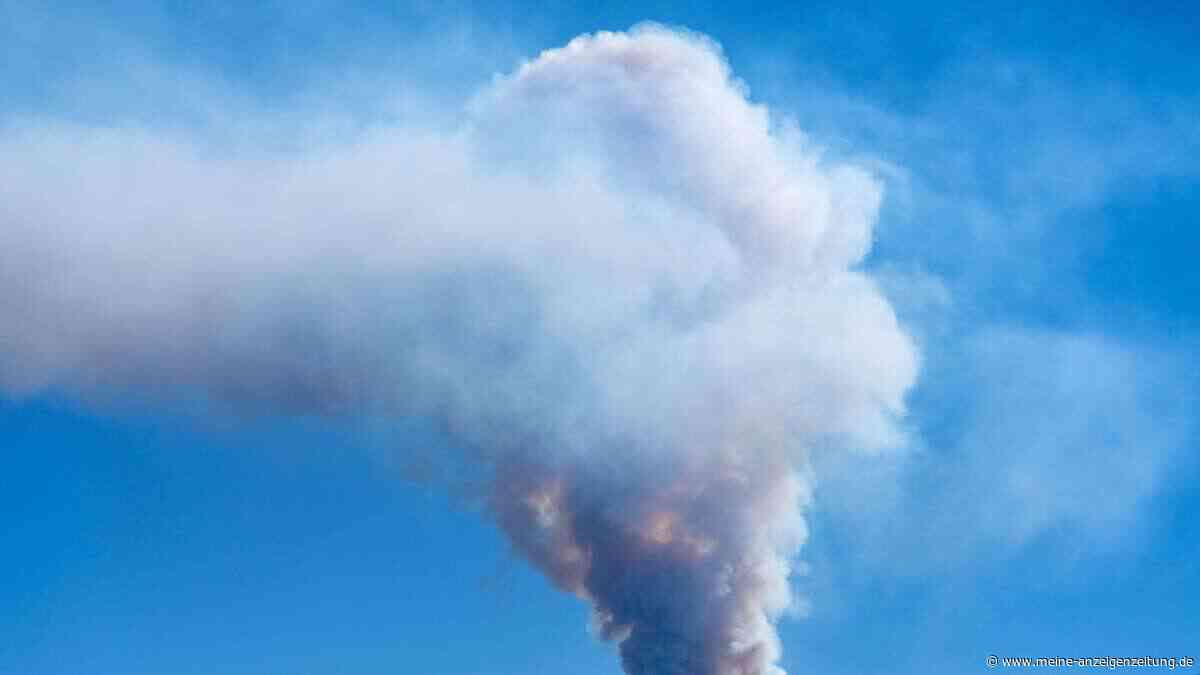 Tödlicher Einsatz: Drei Feuerwehrleute sterben bei Waldbränden im Westen der USA