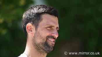 Novak Djokovic’s new job could see his net worth rocket as tennis icon links up with millionaire