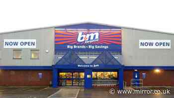 ‘Say goodbye to annoying flies’ with ‘unique’ £8 B&M product