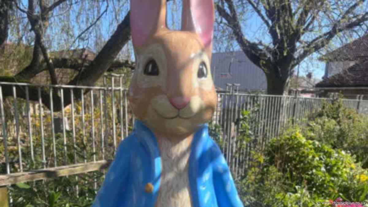 Huge Peter Rabbit trail Tales on the Tyne to see giant sculptures appear all over Newcastle