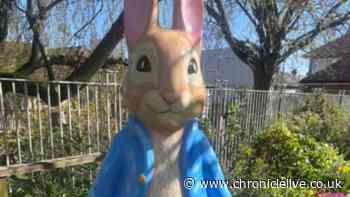 Huge Peter Rabbit trail Tales on the Tyne to see giant sculptures appear all over Newcastle