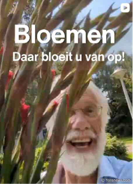 Alleen al het kijken naar bloemen verlaagt stress en verbetert stemming