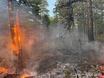 Fire crews work to extinguish Bravo Wildfire in Santa Fe National Forest