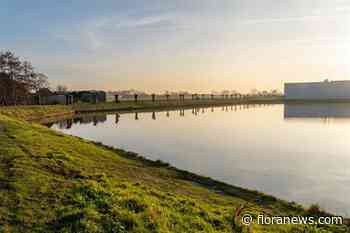 Toch geen hoge concentraties gewasbescherming in water Delfland